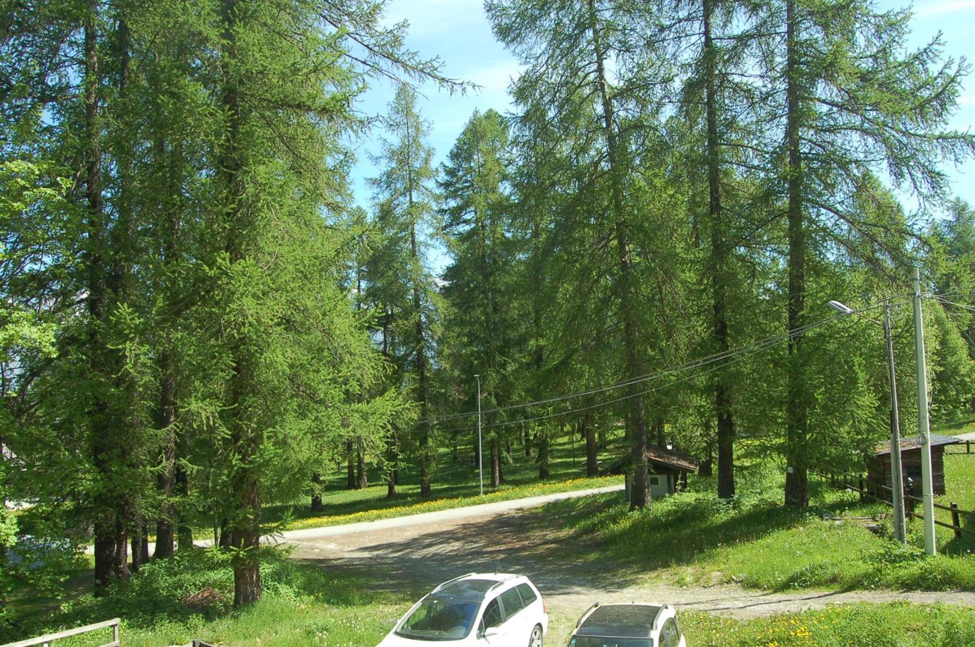 Montagna Che Passione Διαμέρισμα Chiomonte Εξωτερικό φωτογραφία