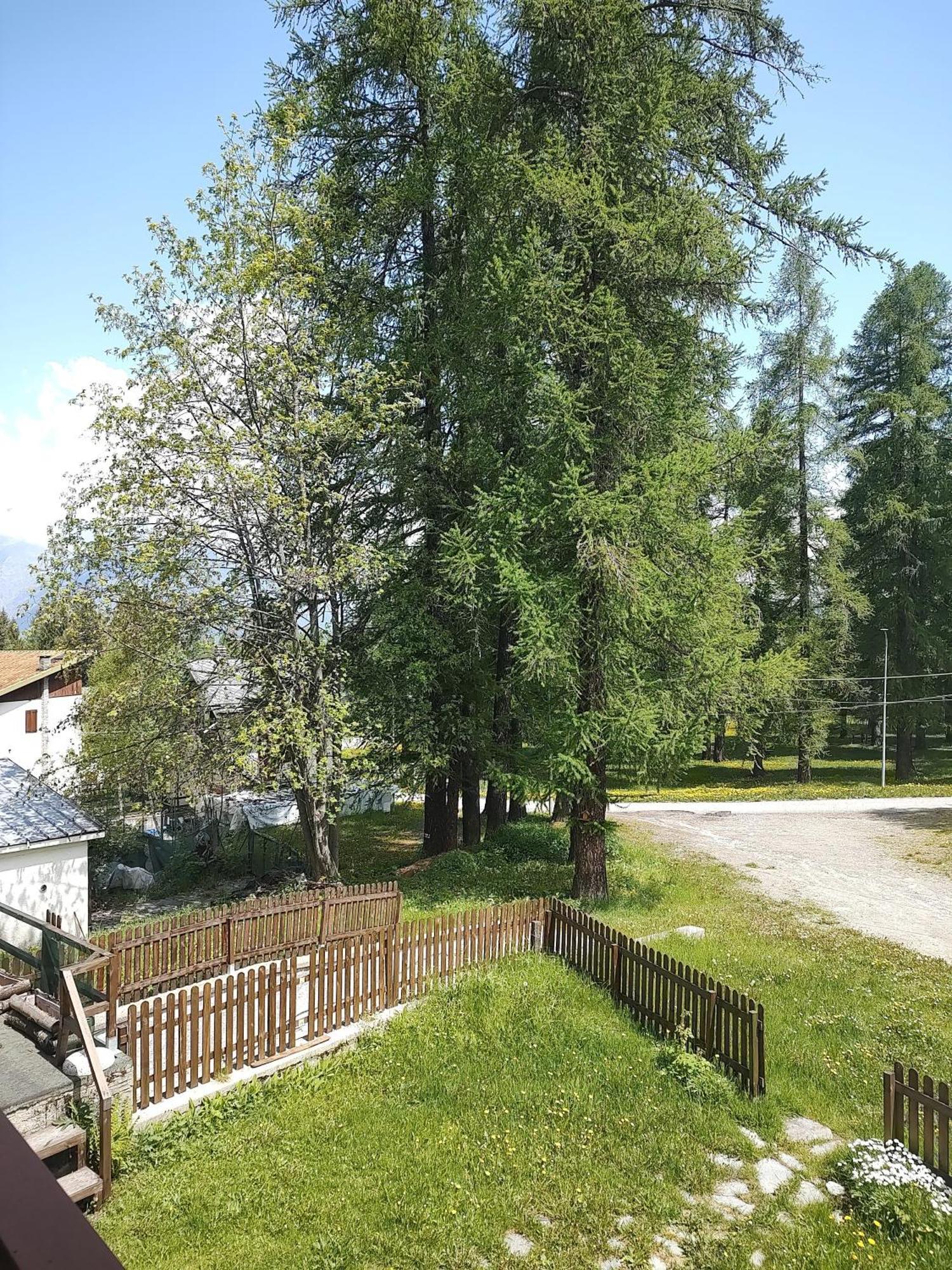 Montagna Che Passione Διαμέρισμα Chiomonte Εξωτερικό φωτογραφία
